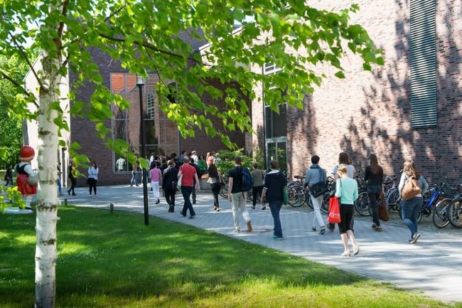 Studieren im Grünen Studieren im Grünen