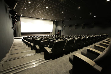 Das Kino/Auditorium der ifs ist mit einer »Dolby Atmos Studio lizensierten Kinomischung« und »Kino-DCP-Projektion« mit 9m x 3,85m großer Leinwand ausgestattet.