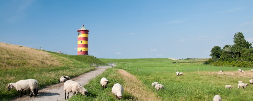 Bachelor Medienmanagement in Niedersachsen?