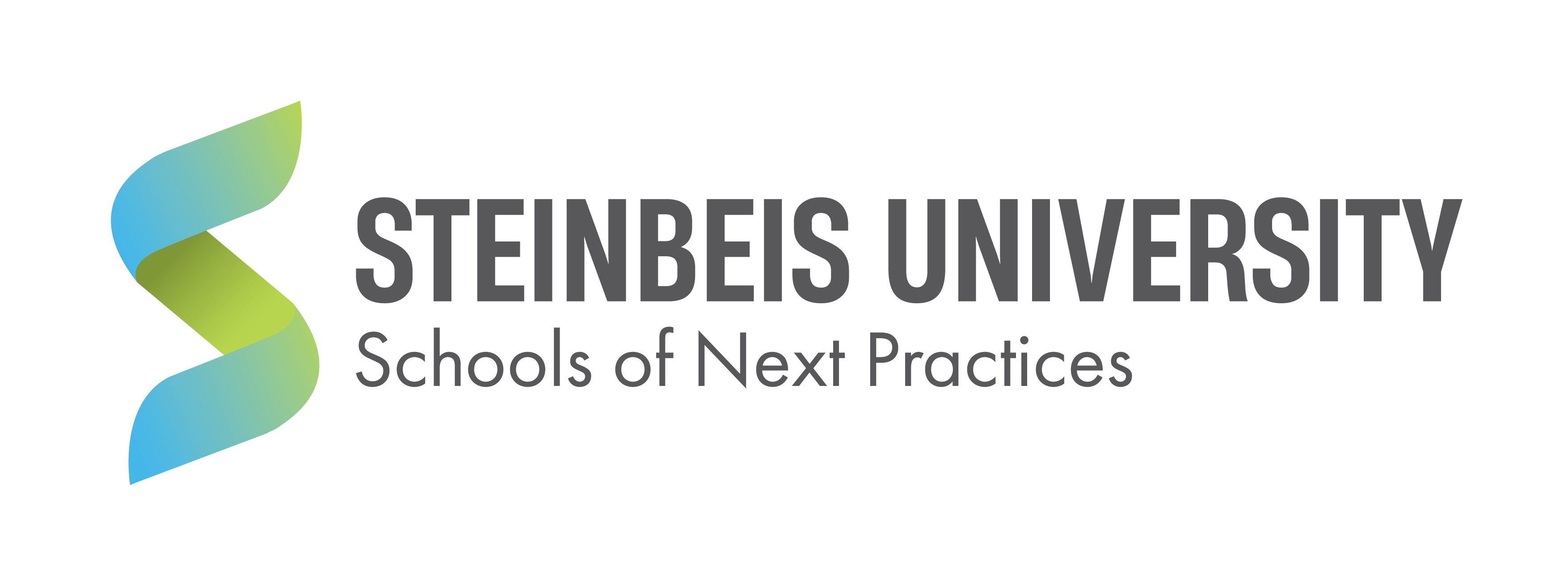 Logo SUNP Steinbeis University Schools of Next Practices Logo